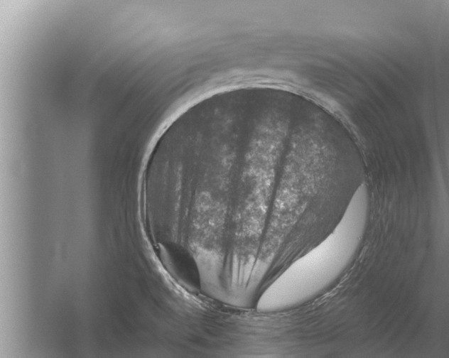 X0000058761520200510281904