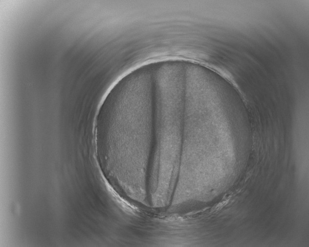 X0000058761524200510281904