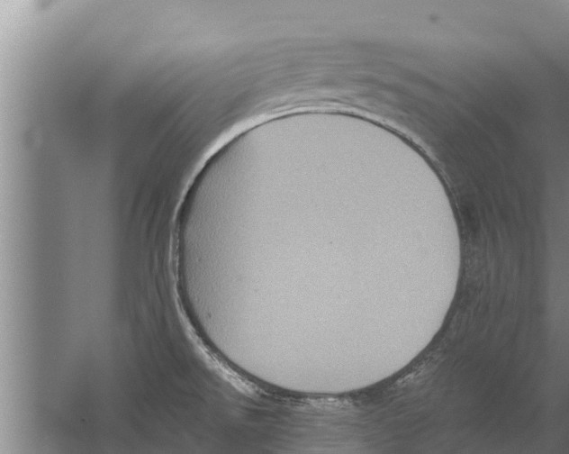 X0000058761526200510281904