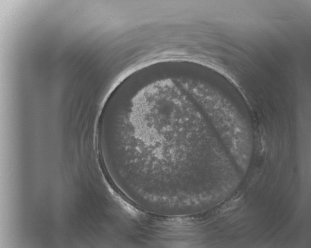 X0000058761527200510281904