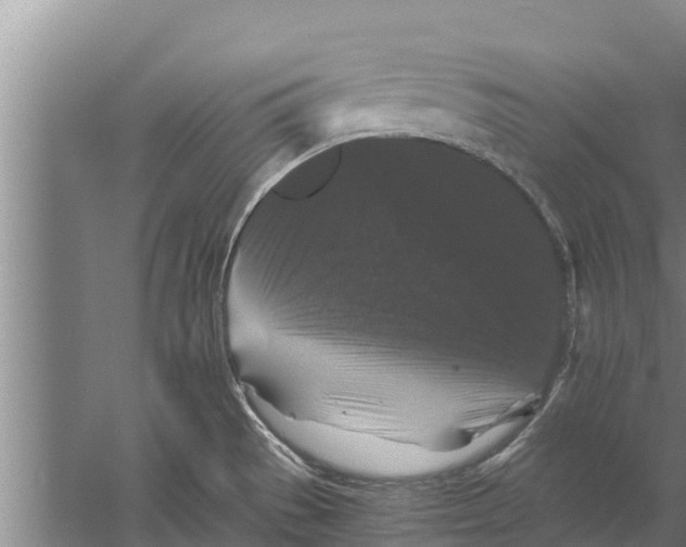 X0000058761529200510281904