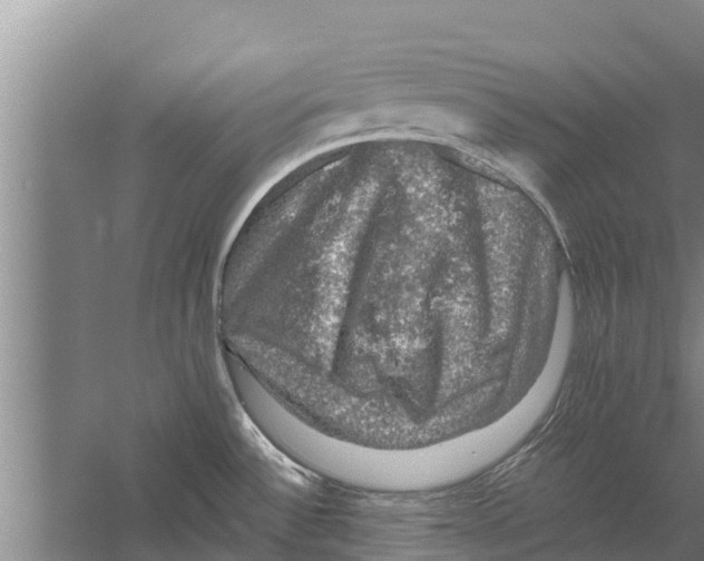 X0000058761532200510281904