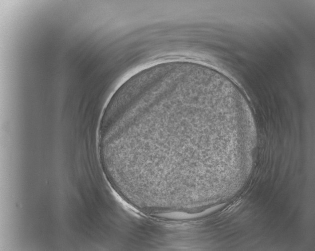 X0000058761535200510281904