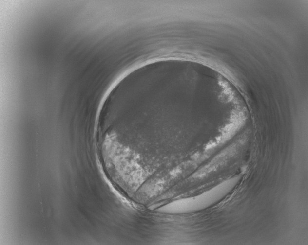 X0000058761536200510281904