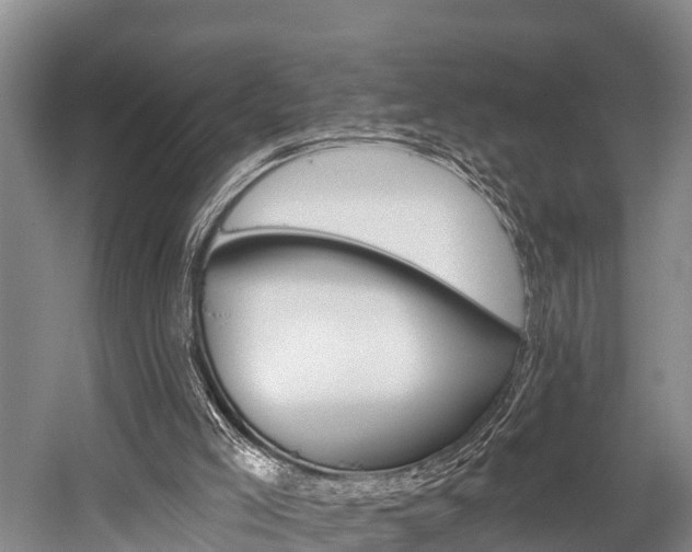 X0000058770005200509300852