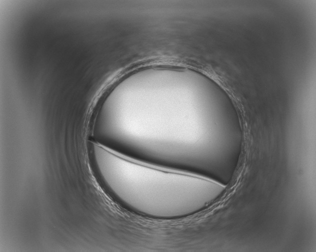 X0000058770007200509300852