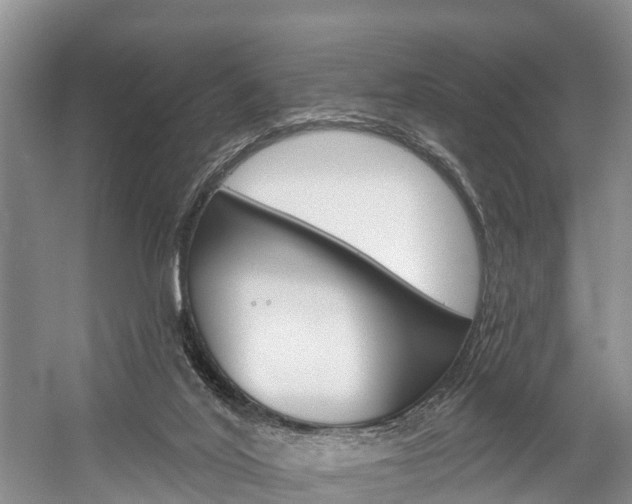 X0000058770020200509300851