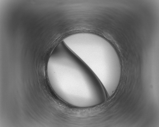 X0000058770021200509300851