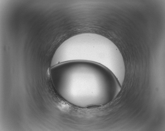 X0000058770041200509300851