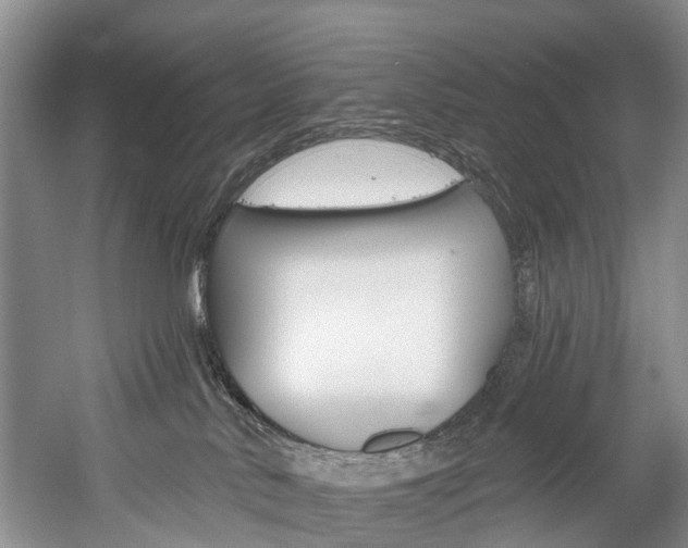 X0000058770042200509300851