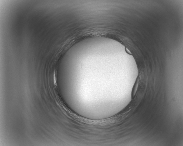 X0000058770046200509300851