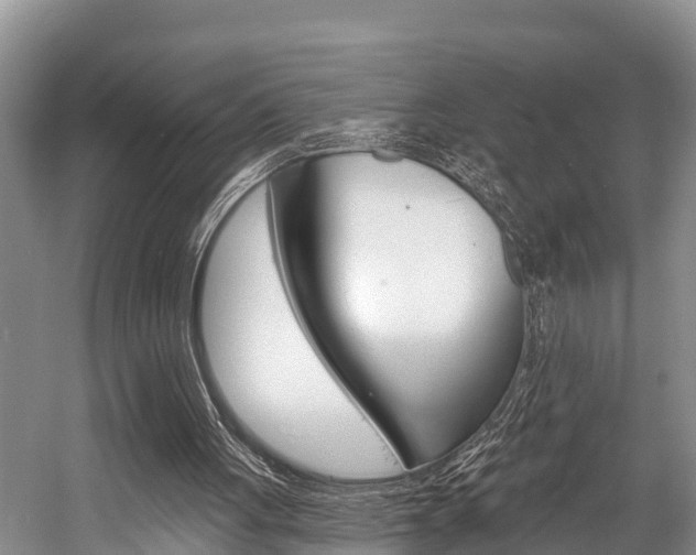 X0000058770051200509300850
