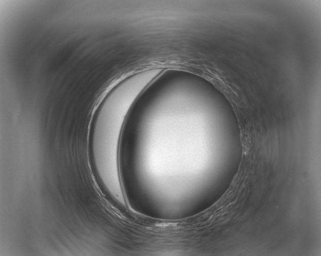 X0000058770052200509300850