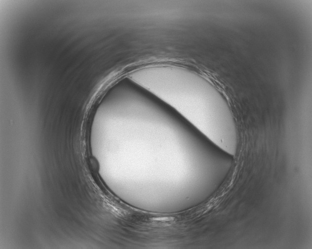 X0000058770053200509300850