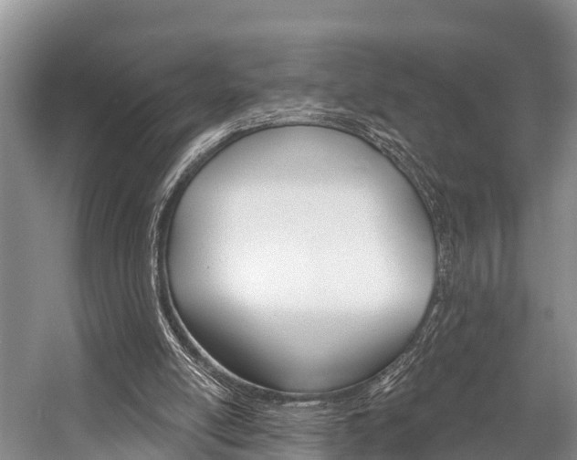X0000058770054200509300850