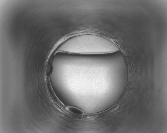 X0000058770056200509300850