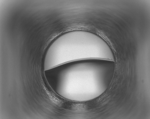 X0000058770058200509300850