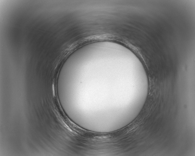 X0000058770061200509300850