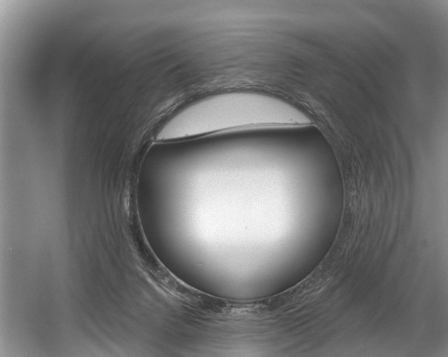 X0000058770072200509300851