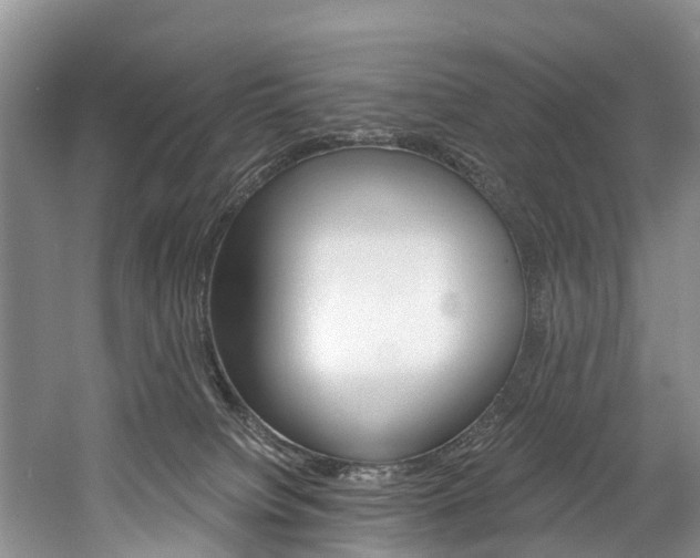 X0000058770084200509300851