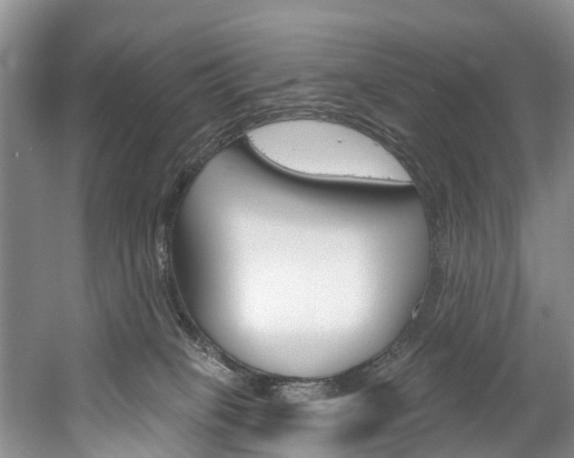 X0000058770085200509300851