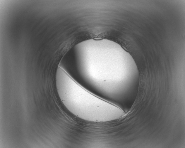 X0000058770090200509300851