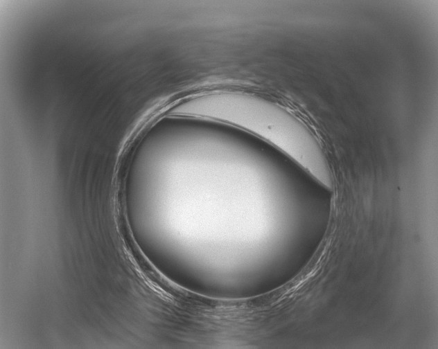 X0000058770101200509300850
