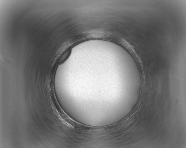 X0000058770106200509300850