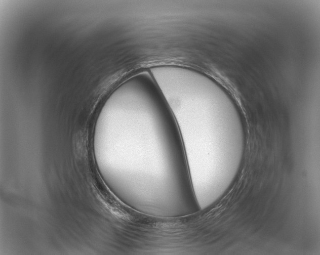 X0000058770107200509300850