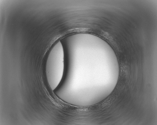 X0000058770110200509300850