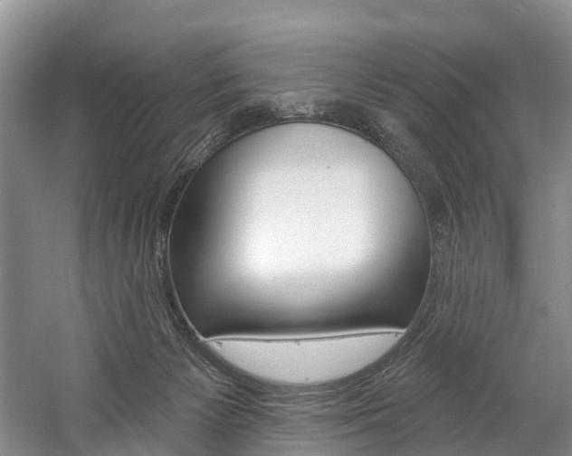 X0000058770125200509300850