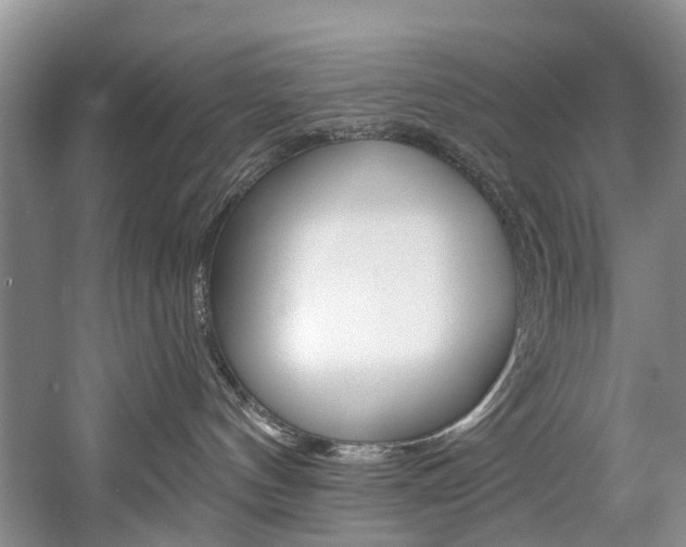 X0000058770144200509300849