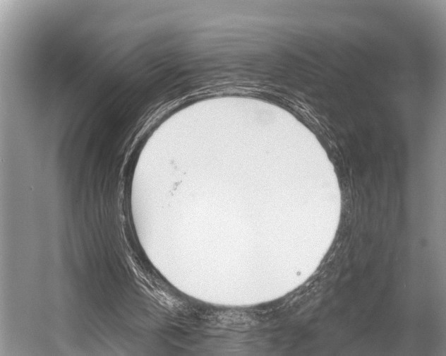 X0000058770146200509300849