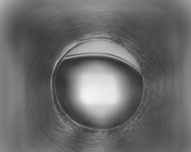 X0000058770148200509300849