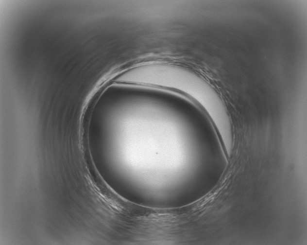 X0000058770150200509300849
