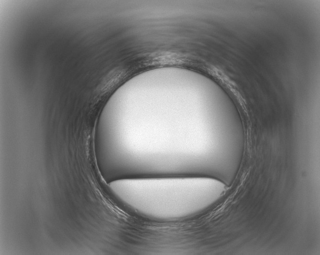 X0000058770153200509300849