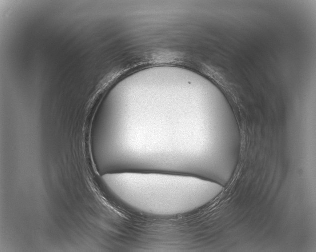 X0000058770155200509300849