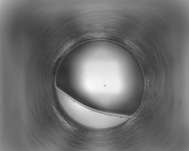 X0000058770158200509300849