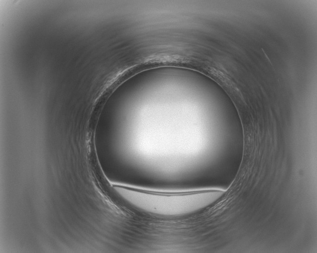 X0000058770160200509300849