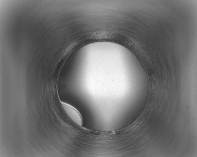 X0000058770164200509300849