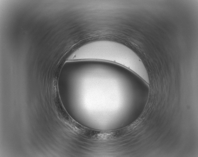 X0000058770172200509300849