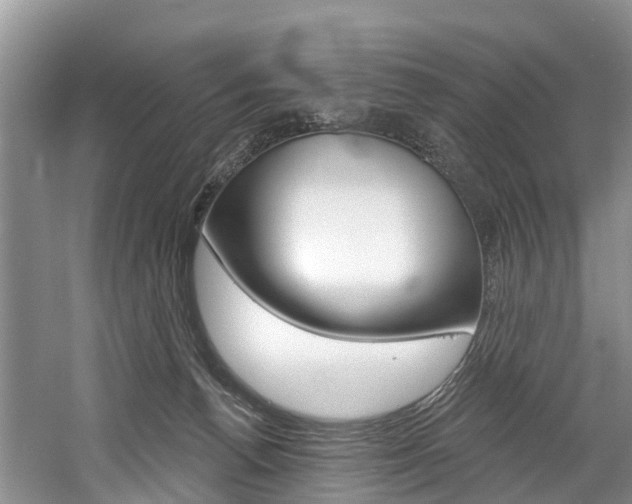 X0000058770176200509300849