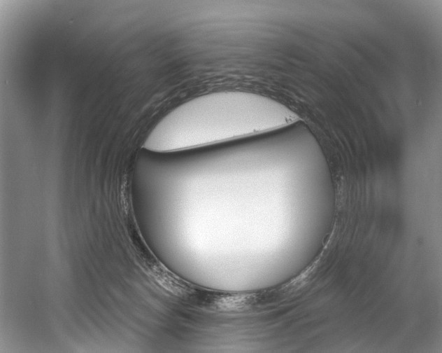 X0000058770178200509300849