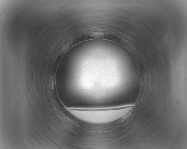 X0000058770180200509300849