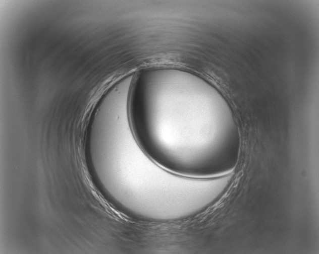 X0000058770193200509300849