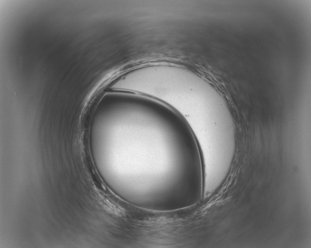 X0000058770197200509300848
