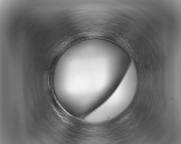 X0000058770205200509300848