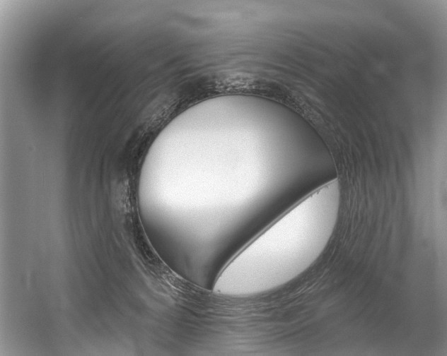 X0000058770224200509300848