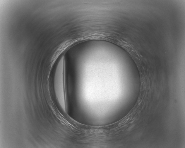 X0000058770242200509300847
