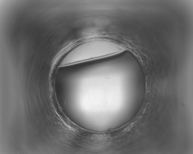 X0000058770245200509300847
